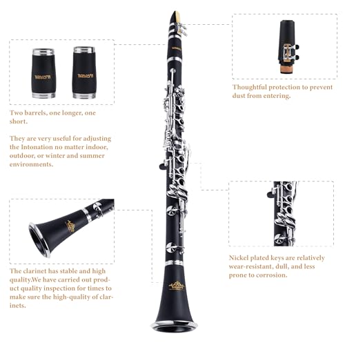 Jinqu B Flat 17 Key Clarinet Set - Image 2
