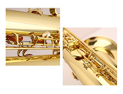 JITAZHIJIA E Flat Baritone Saxophone, Phosphor Bronze - Image 2