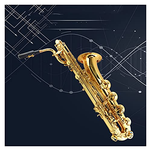 JITAZHIJIA E Flat Baritone Saxophone/Wind Instrument - Image 2