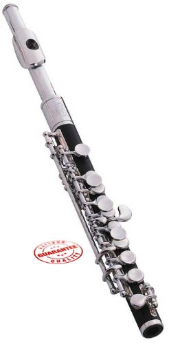Jupiter ABS Body Piccolo, JPC1000 - Image 2