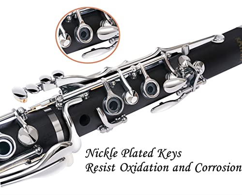 KAYATA Beginner Bb Clarinet With Case & Kit - Image 3