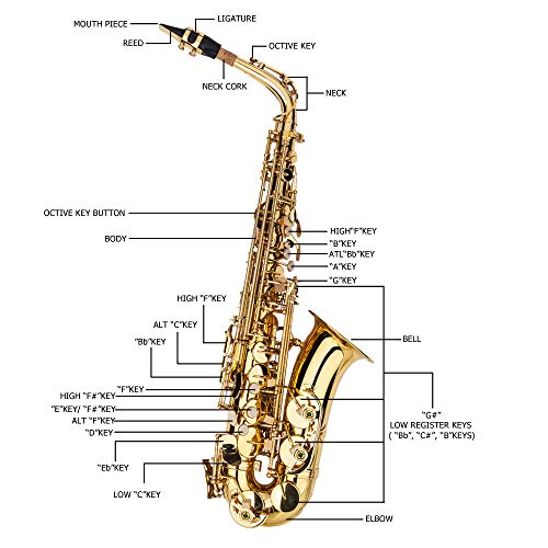 Kcelarec Eb Alto Saxophone Beginners Kit - Image 4