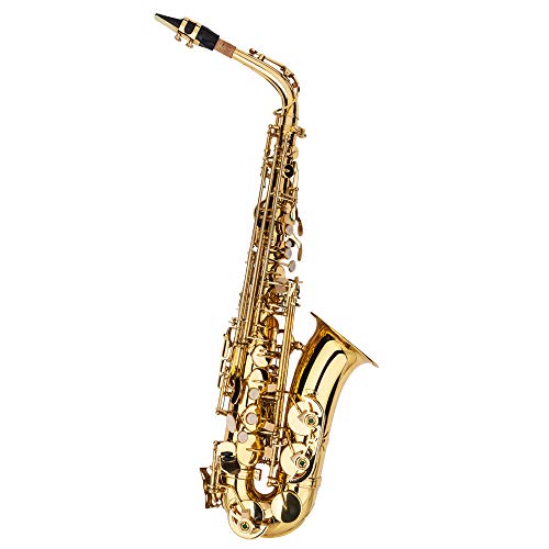 Kcelarec Eb Alto Saxophone Beginners Kit - Image 2