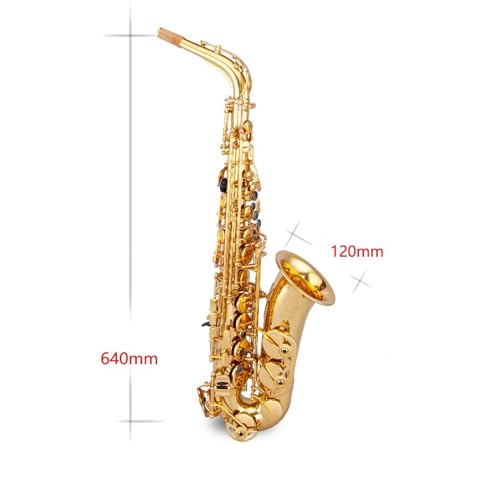KEAAN Beginner Alto Tenor Saxophone E Flat - Image 2
