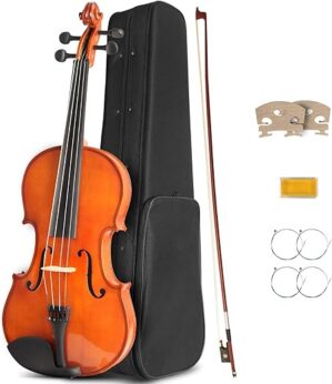 Ceciliec Kids Violin 1/4 Size Starter Kit