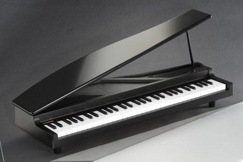 Korg MicroPiano 61-Key Mini Grand Piano - Image 3