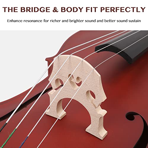 Ktaxon Full-Size Beginner Cello 4/4 Set - Image 5