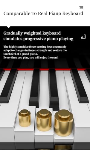 LANDTOM Upright 88-Key Hammer MIDI Piano - Image 2