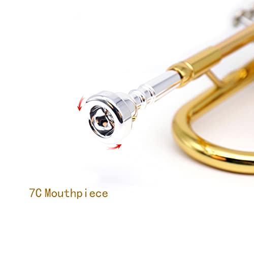 LeSage Standard Bb Trumpet Gold For Beginners - Image 3