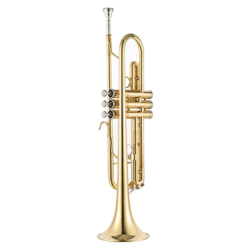 LeSage Standard Bb Trumpet Gold For Beginners - Image 2