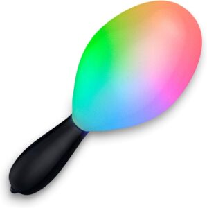 FlashingBlinkyLights Light Up Maracas with LEDs (Set of 2)
