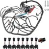 HOKZVIATMOTOELECS LS Engine DBC Standalone Wiring Harness