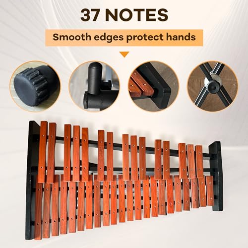 LyricLight 37 Note Professional Wooden Xylophone With Stand - Image 3
