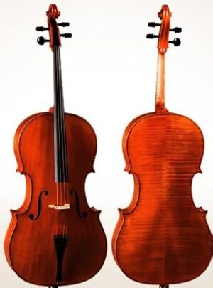 D Z Strad Model 400 Handmade 4/4 Cello Set