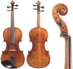 D Z Strad Model 500 Handmade Viola Outfit (15.5″)