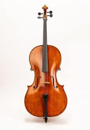 D Z Strad Model 600 4/4 Handmade Cello