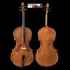 D Z Strad Model 900 Handmade 4/4 Cello