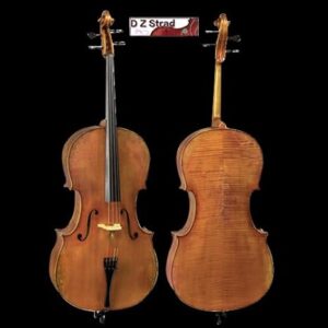 D Z Strad Model 900 Handmade 4/4 Cello