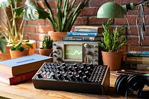 Moog Subharmonicon Semi-Modular Analog Synthesizer - Image 2