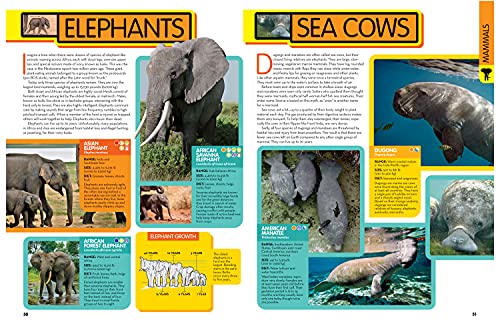National Geographic Kids Animal Encyclopedia By National Geographic Kids - Image 4