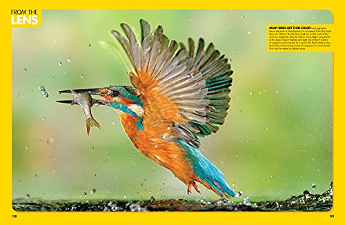 National Geographic Kids Animal Encyclopedia By National Geographic Kids - Image 5