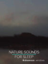 Nighttime Nature Sounds for Sleep 9 Hours