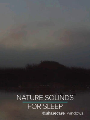 Nighttime Nature Sounds for Sleep 9 Hours