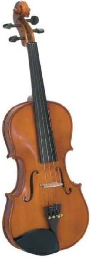 212 Main Novice Full-Size Violin Outfit Rosewood