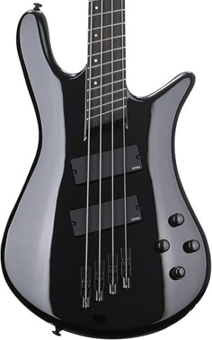 Spector NS Dimension Multi-scale Bass Guitar