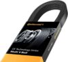 Continental OE Technology Series 4060785 Multi-V Belt