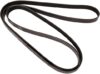 Continental OE Technology Series 4060975 Multi-V Belt
