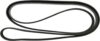 Continental OE Technology Series 4070443 Multi-V Belt