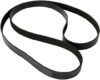 Continental OE Technology Series 4070609 Multi-V Belt