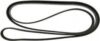 Continental OE Technology Series 4070873 Multi-V Belt
