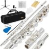 Eastar Open Hole 16 Keys Beginner Flute EFL-2