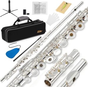 Eastar Open Hole 16 Keys Beginner Flute EFL-2