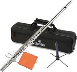 Cecilio Open Hole C Flute - Silver