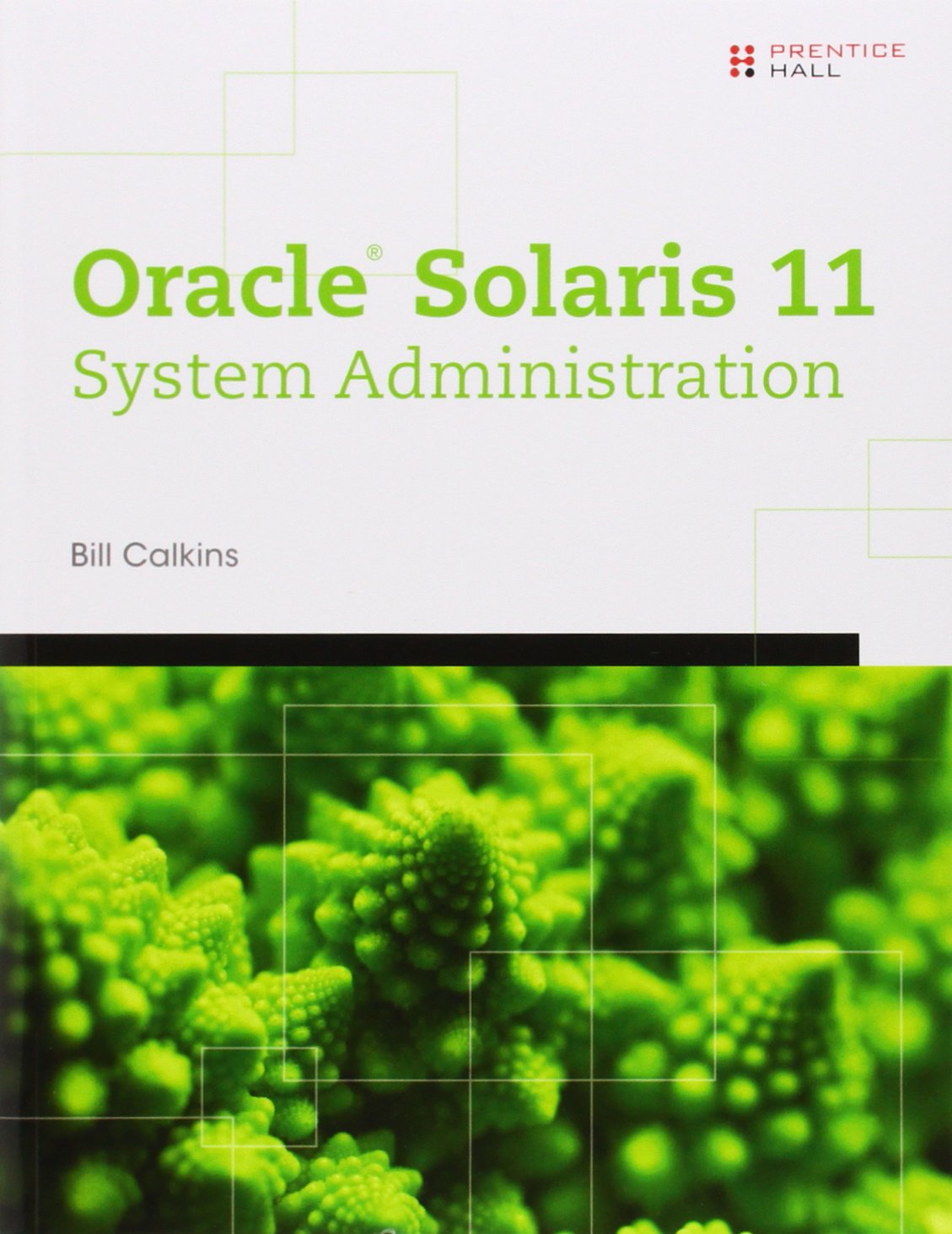 Oracle Solaris 11 System Administration: Fundamentals V. I
