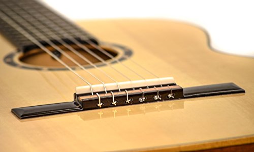 Ortega Guitars 6 String Solid Top Classical Guitar (R200) - Image 2