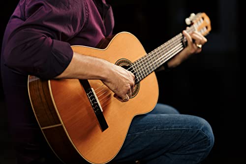 Ortega Guitars 6 String Solid Top Classical Guitar (R220) - Image 2