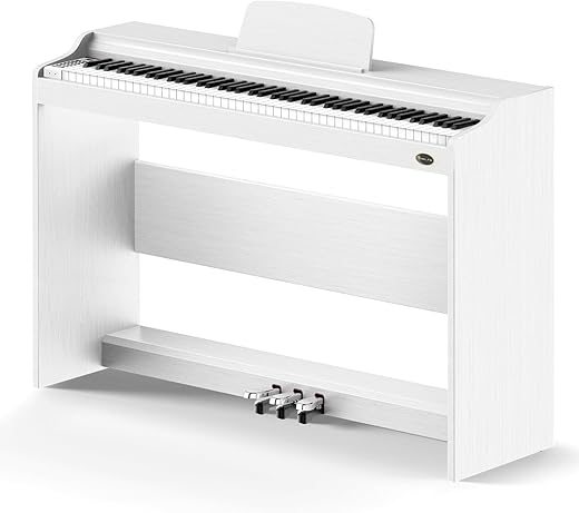 Rosen P35 88-Key Weighted Action Digital Piano