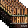 SANTA CRUZ Parabolic Tension Acoustic Guitar Strings Bundle