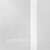 Perpetual Soloist Perpetual Soloist Cello Set Medium Gauge