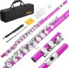 LeSage Pink Closed Hole 16 Key C Flute