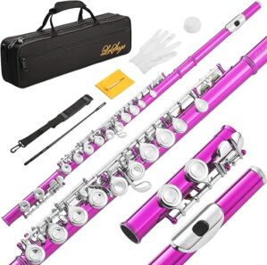 LeSage Pink Closed Hole 16 Key C Flute