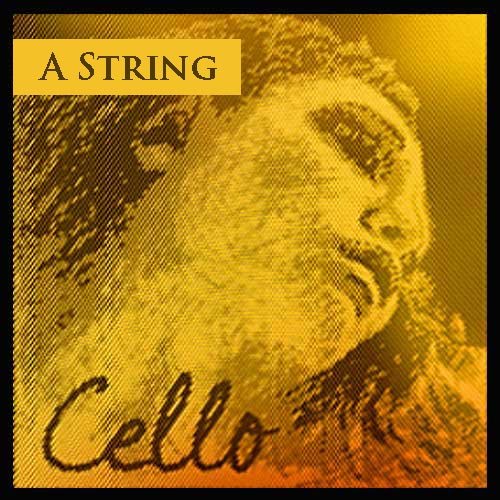 Pirastro Evah Pirazzi Gold Cello A String - Image 2