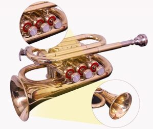 Queen Brass Pocket Trumpet Brass Finish With Case