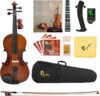Poseidon Premium Handcraft Violin 4/4 With Accessories