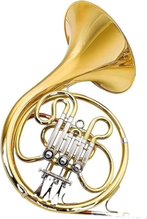 TSTS Professional B Flat/F Tune French Horn