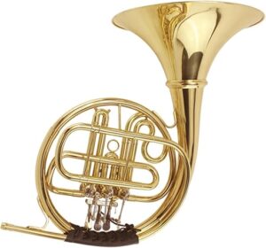TSTS Professional B Flat Three-key French Horn